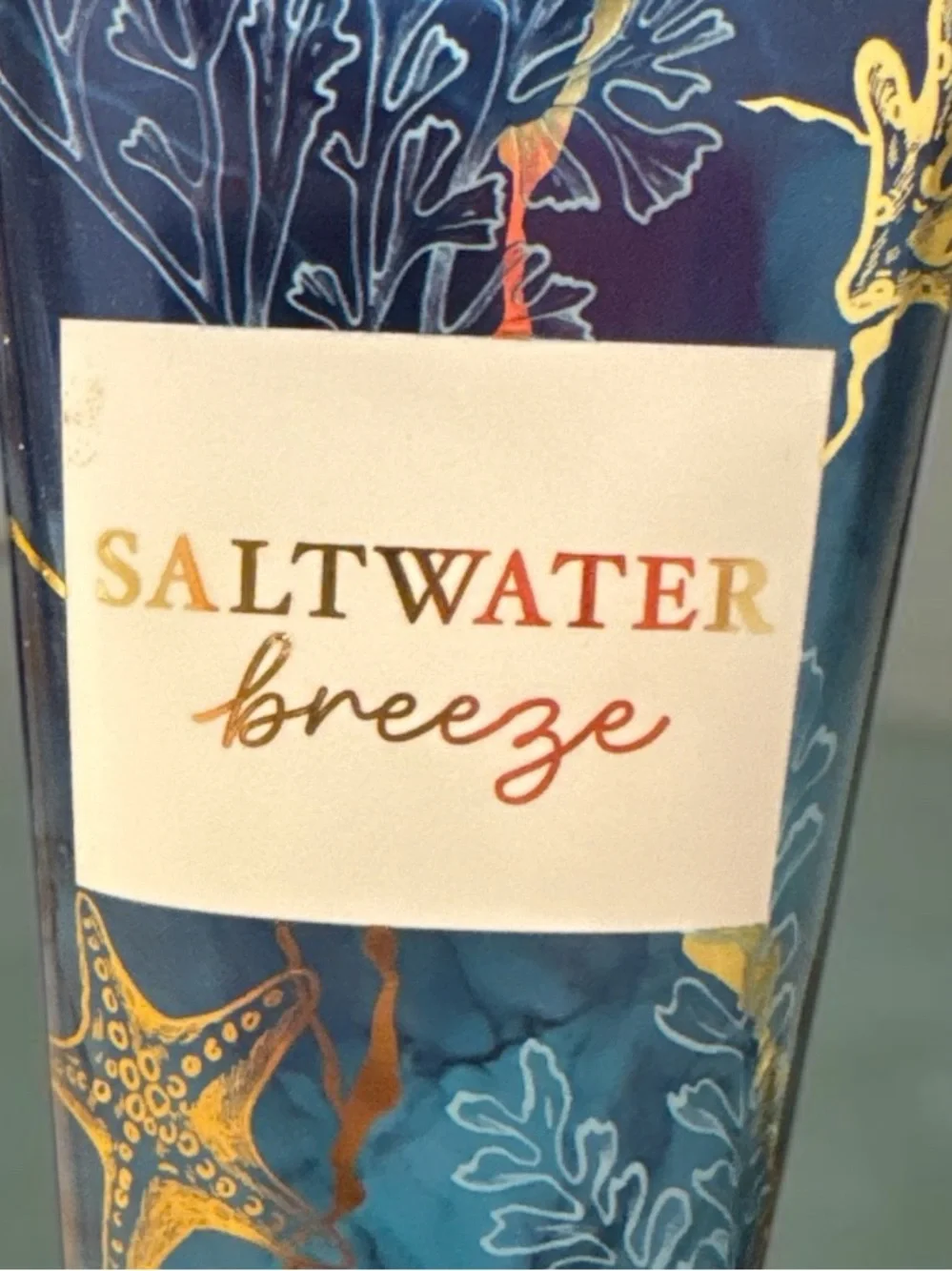 NWT Bath & Body Works Saltwater Breeze Body Cream & Fine Fragrance Mist Set